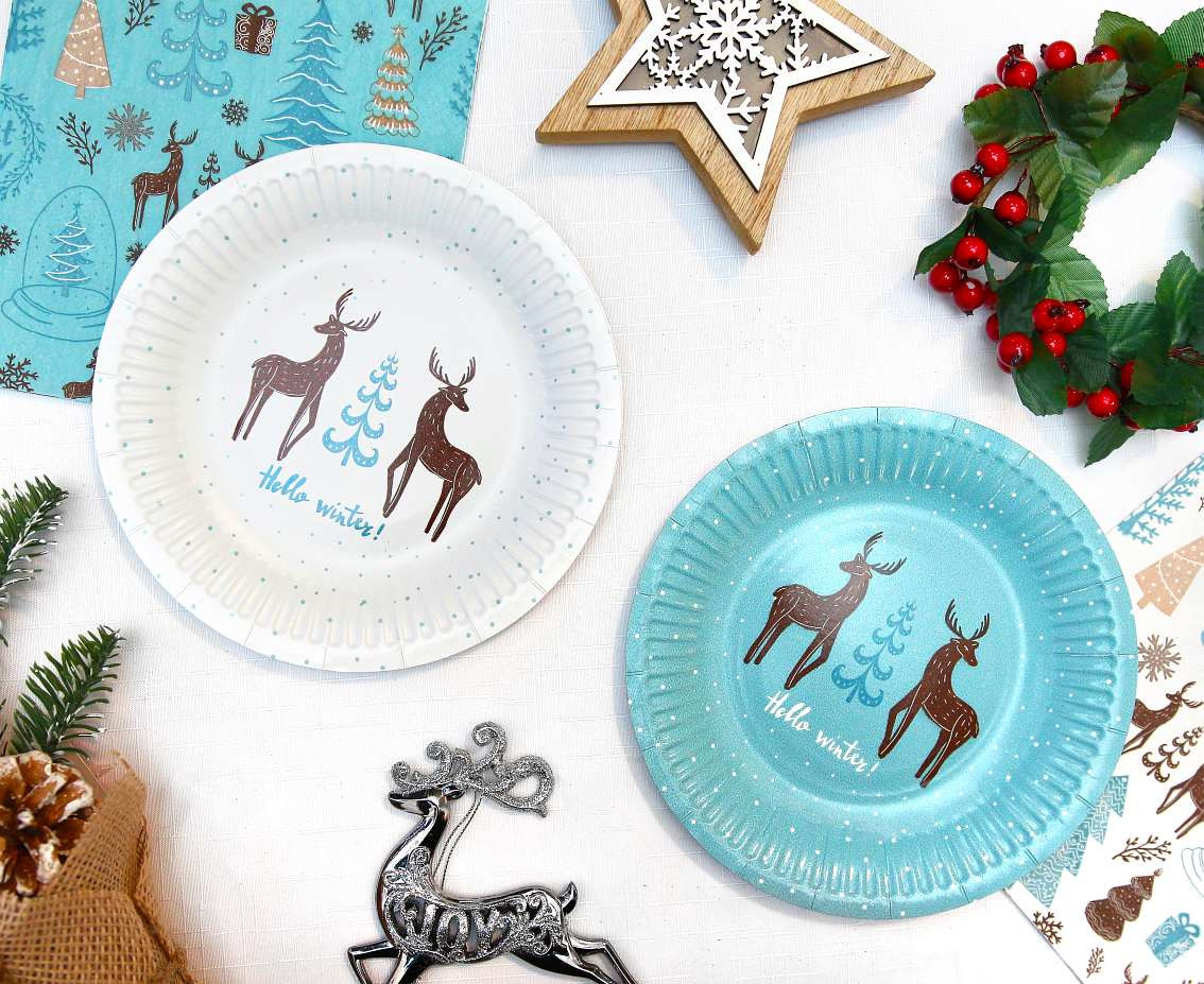 Paper plates Hello Winter, white, 18 cm/ 6 pcs. EOL